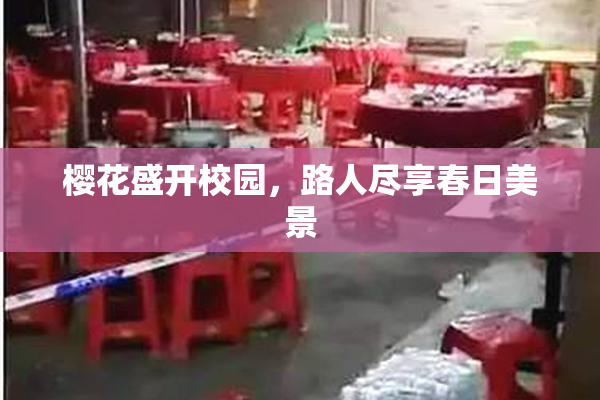 樱花盛开校园，路人尽享春日美景