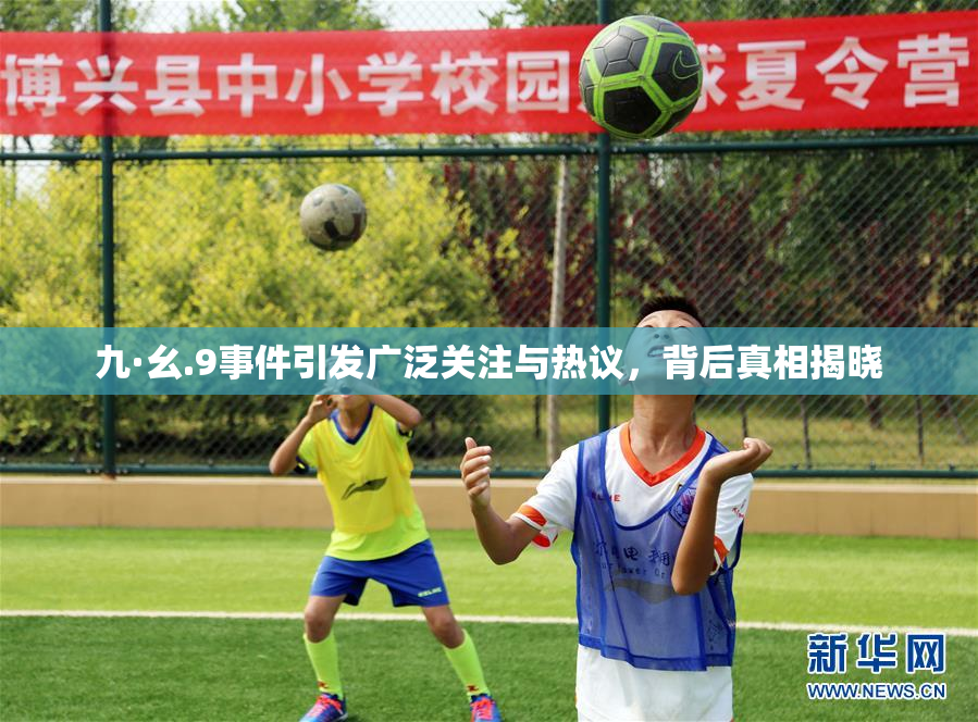 九·幺.9事件引发广泛关注与热议，背后真相揭晓