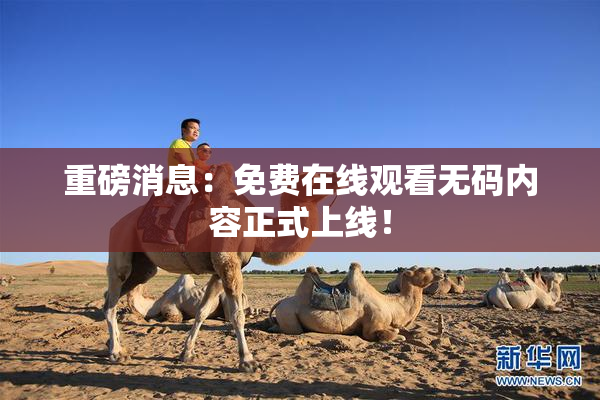 重磅消息：免费在线观看无码内容正式上线！