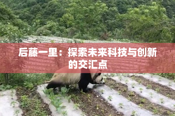 后藤一里：探索未来科技与创新的交汇点