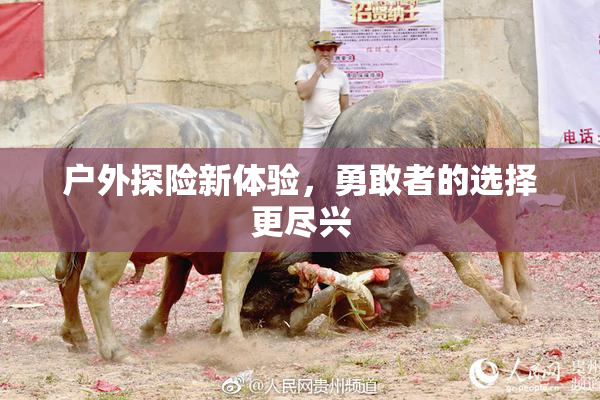 户外探险新体验，勇敢者的选择更尽兴