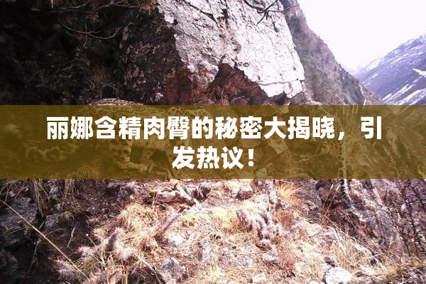 丽娜含精肉臀的秘密大揭晓，引发热议！