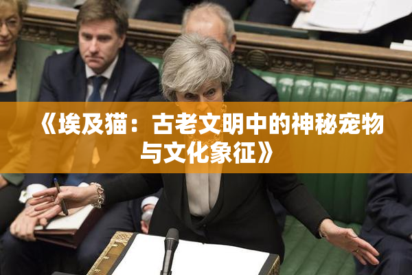 《埃及猫：古老文明中的神秘宠物与文化象征》