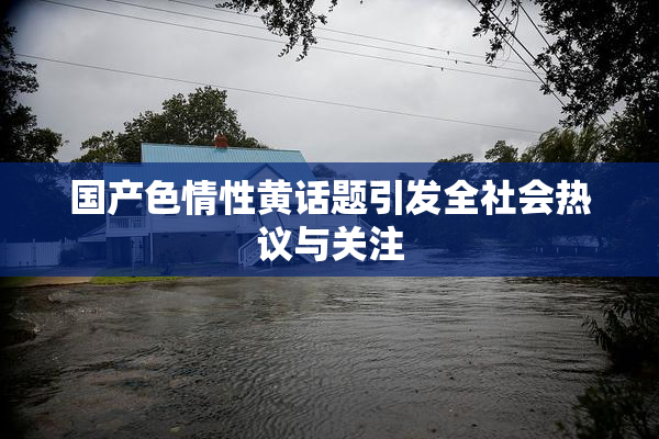 国产色情性黄话题引发全社会热议与关注