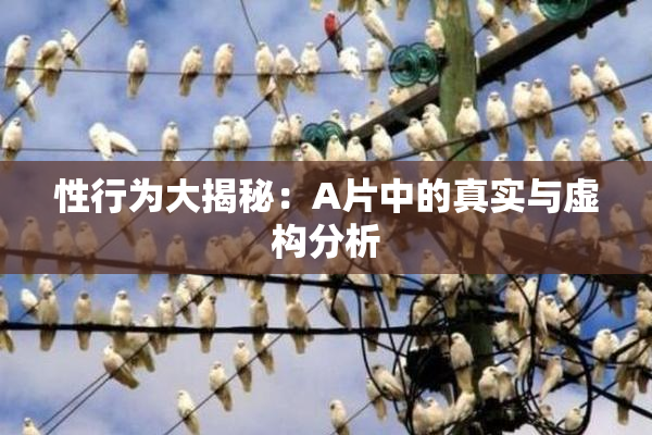 性行为大揭秘：A片中的真实与虚构分析