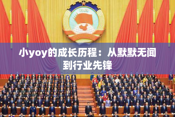 小yoy的成长历程：从默默无闻到行业先锋