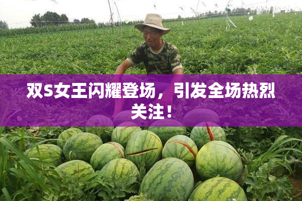 双S女王闪耀登场，引发全场热烈关注！