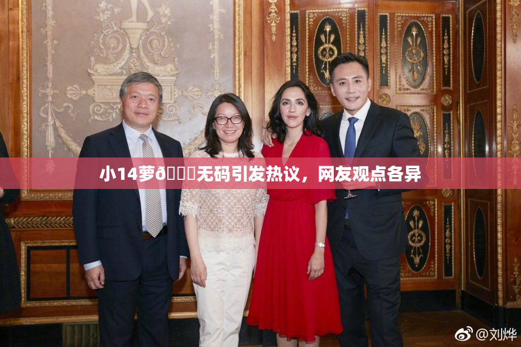 小14萝🔞无码引发热议，网友观点各异