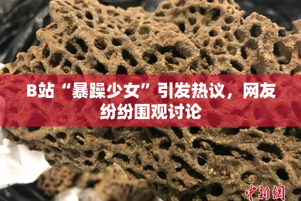 B站“暴躁少女”引发热议，网友纷纷围观讨论