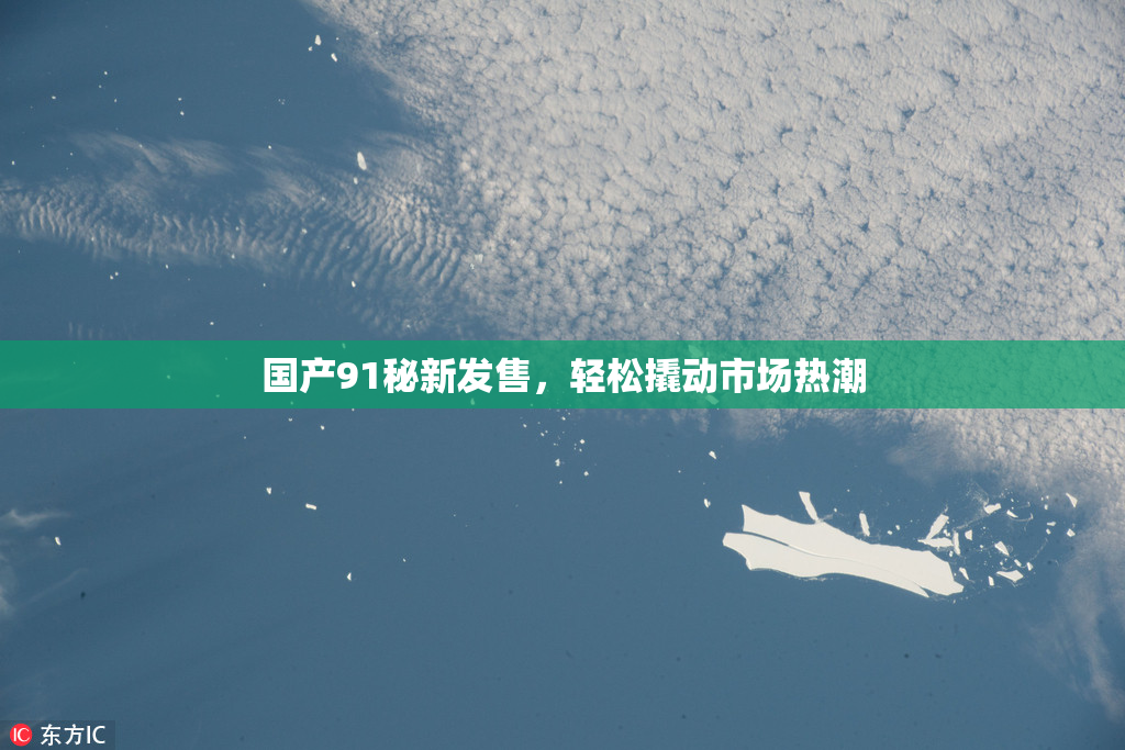 国产91秘新发售，轻松撬动市场热潮
