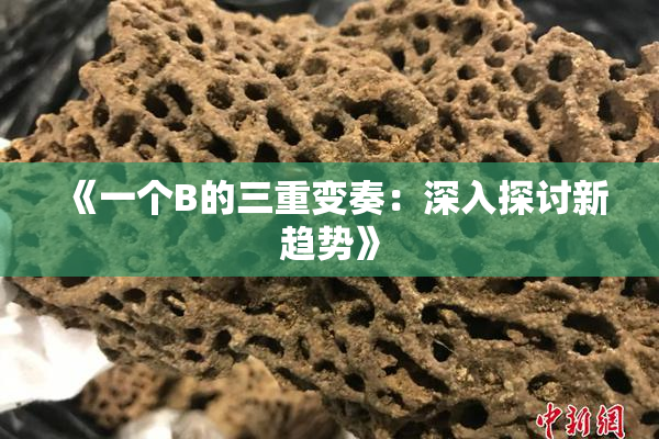 《一个B的三重变奏：深入探讨新趋势》