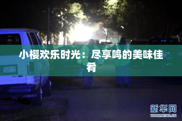 小樱欢乐时光：尽享鸣的美味佳肴