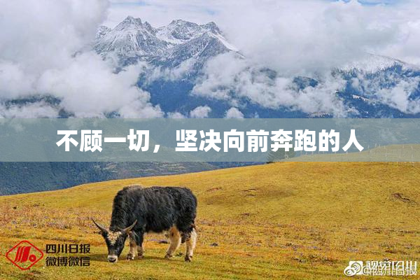 不顾一切，坚决向前奔跑的人