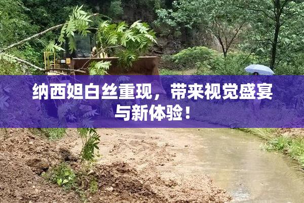 纳西妲白丝重现，带来视觉盛宴与新体验！
