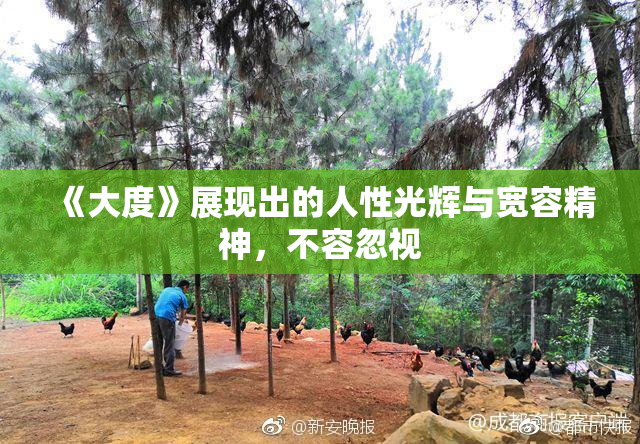 《大度》展现出的人性光辉与宽容精神，不容忽视
