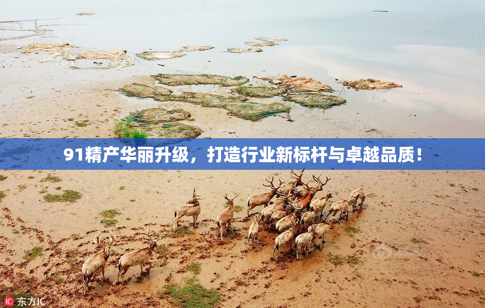 91精产华丽升级，打造行业新标杆与卓越品质！