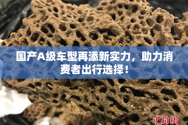 国产A级车型再添新实力，助力消费者出行选择！