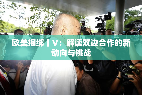 欧美捆绑丨V：解读双边合作的新动向与挑战