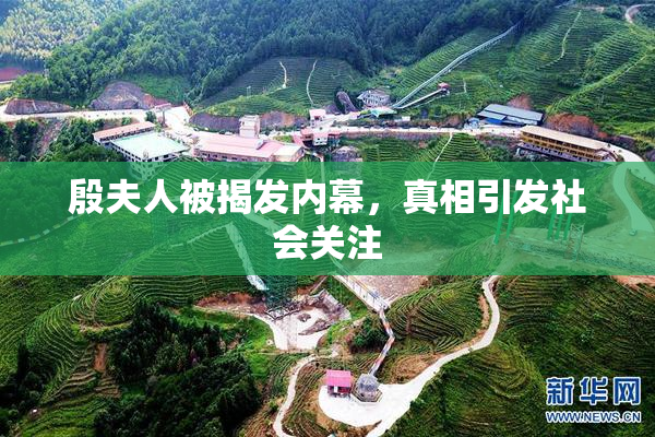 殷夫人被揭发内幕，真相引发社会关注