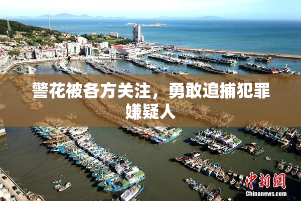 警花被各方关注，勇敢追捕犯罪嫌疑人