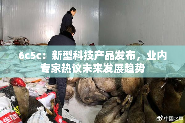 6c5c：新型科技产品发布，业内专家热议未来发展趋势