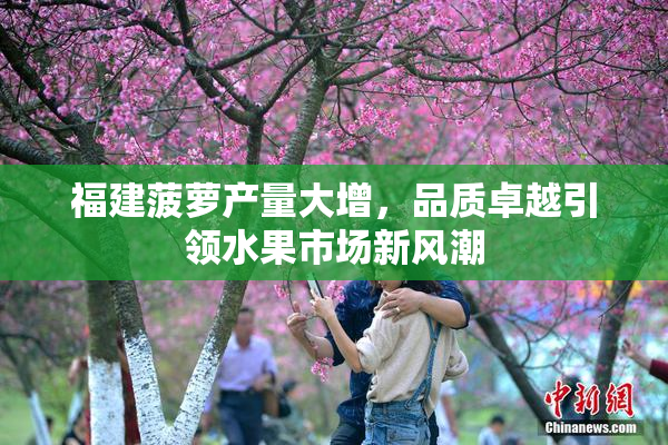 福建菠萝产量大增，品质卓越引领水果市场新风潮