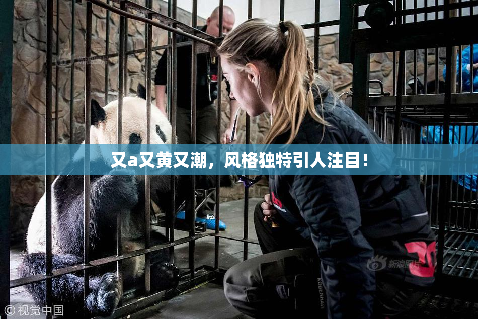 又a又黄又潮，风格独特引人注目！