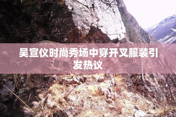 吴宣仪时尚秀场中穿开叉服装引发热议