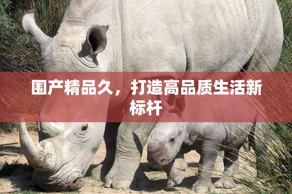 围产精品久，打造高品质生活新标杆