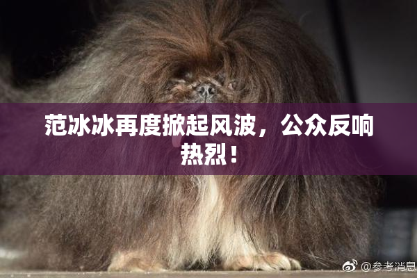 范冰冰再度掀起风波，公众反响热烈！