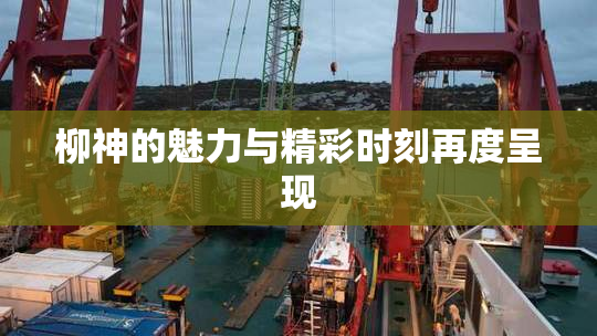 柳神的魅力与精彩时刻再度呈现