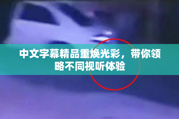 中文字幕精品重焕光彩，带你领略不同视听体验