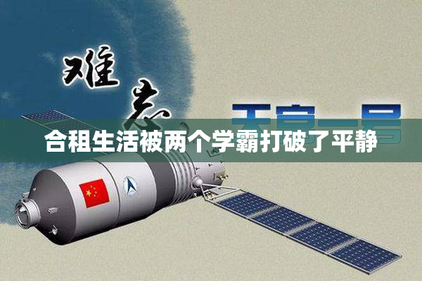 合租生活被两个学霸打破了平静