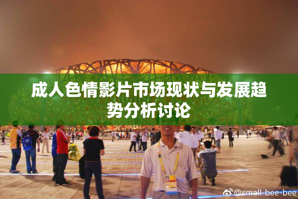 成人色情影片市场现状与发展趋势分析讨论