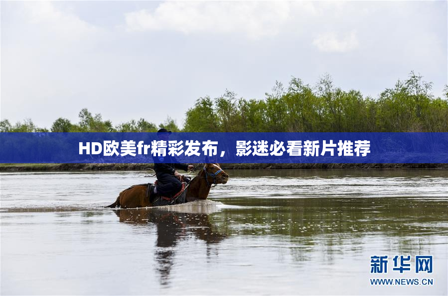 HD欧美fr精彩发布，影迷必看新片推荐