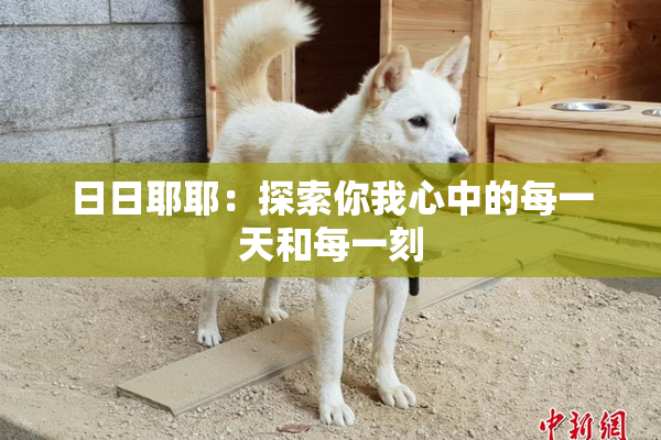 日日耶耶：探索你我心中的每一天和每一刻