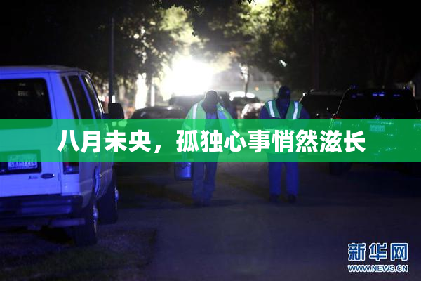 八月未央，孤独心事悄然滋长