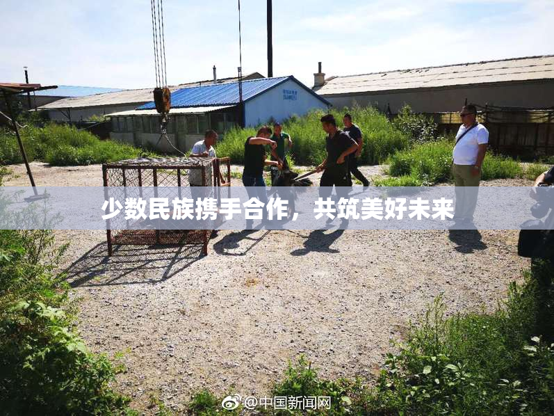 少数民族携手合作，共筑美好未来