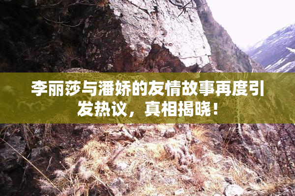 李丽莎与潘娇的友情故事再度引发热议，真相揭晓！