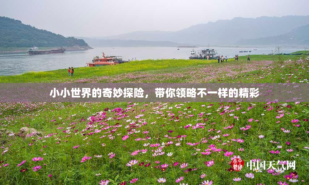 小小世界的奇妙探险，带你领略不一样的精彩