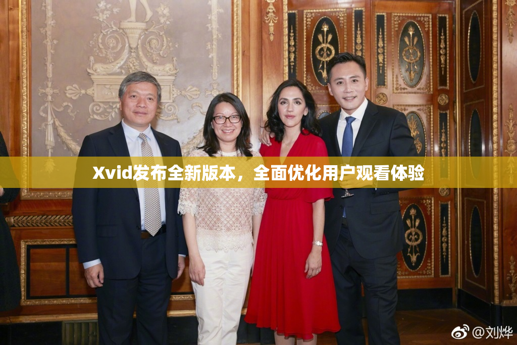 Xvid发布全新版本，全面优化用户观看体验