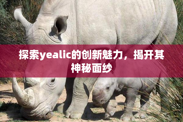 探索yealic的创新魅力，揭开其神秘面纱