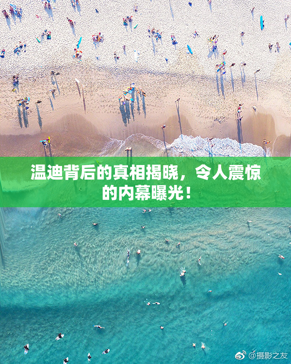温迪背后的真相揭晓，令人震惊的内幕曝光！