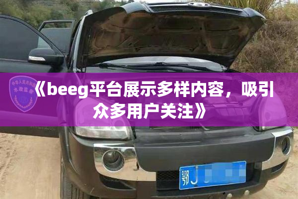 《beeg平台展示多样内容，吸引众多用户关注》