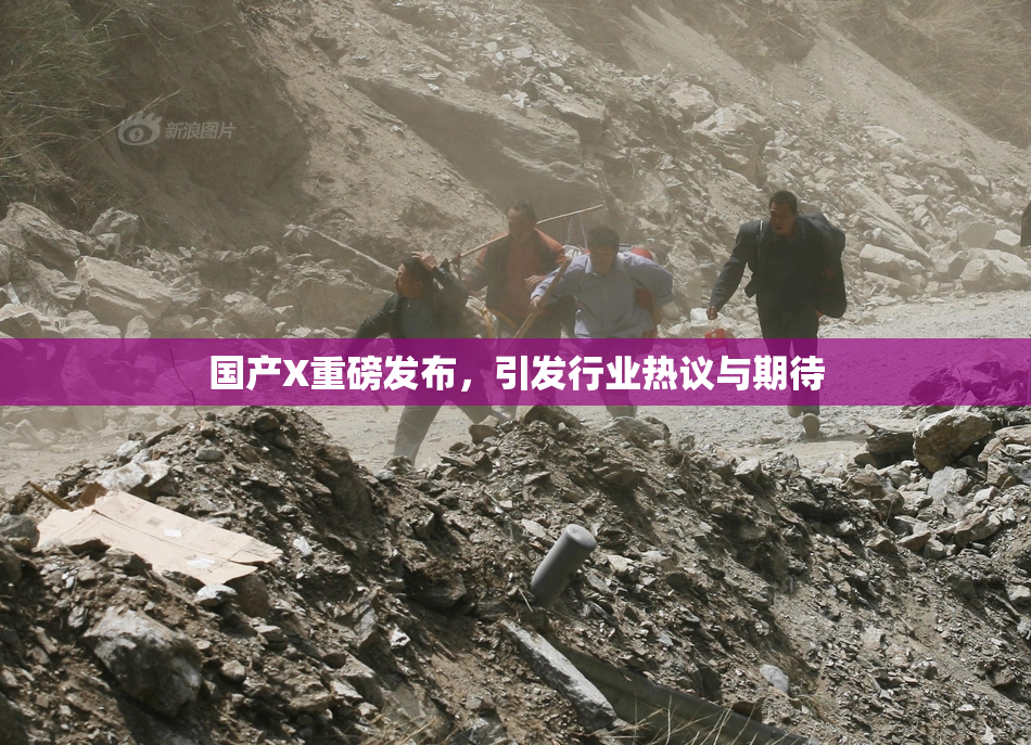 国产X重磅发布，引发行业热议与期待