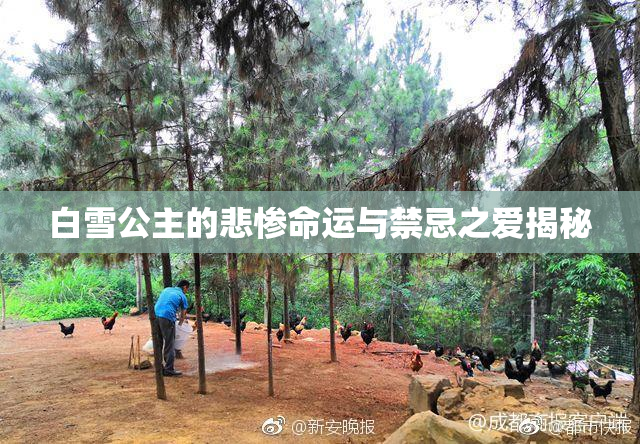 白雪公主的悲惨命运与禁忌之爱揭秘