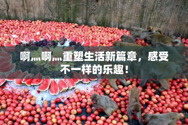 啊灬啊灬重塑生活新篇章，感受不一样的乐趣！