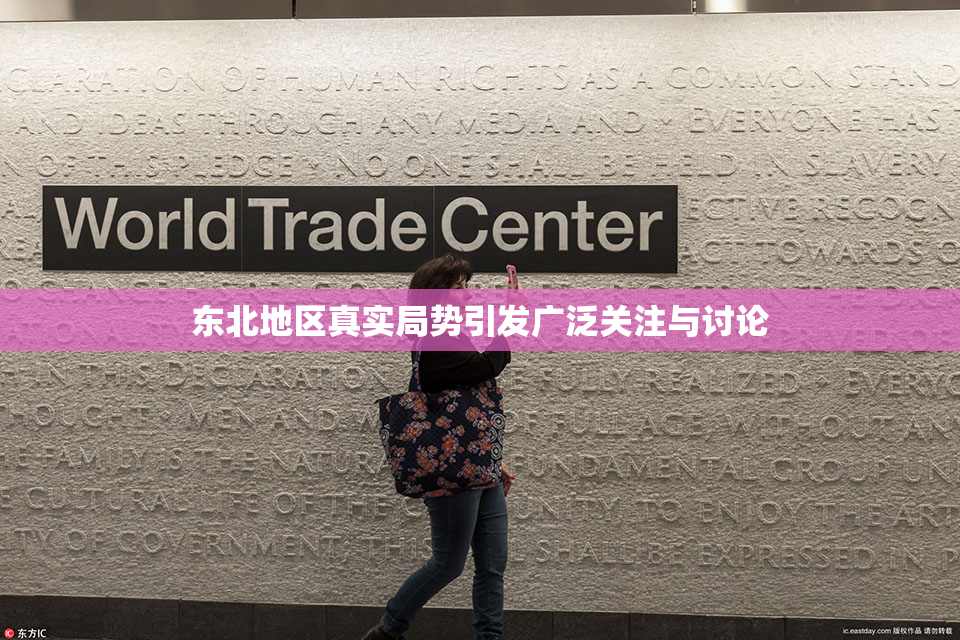 东北地区真实局势引发广泛关注与讨论