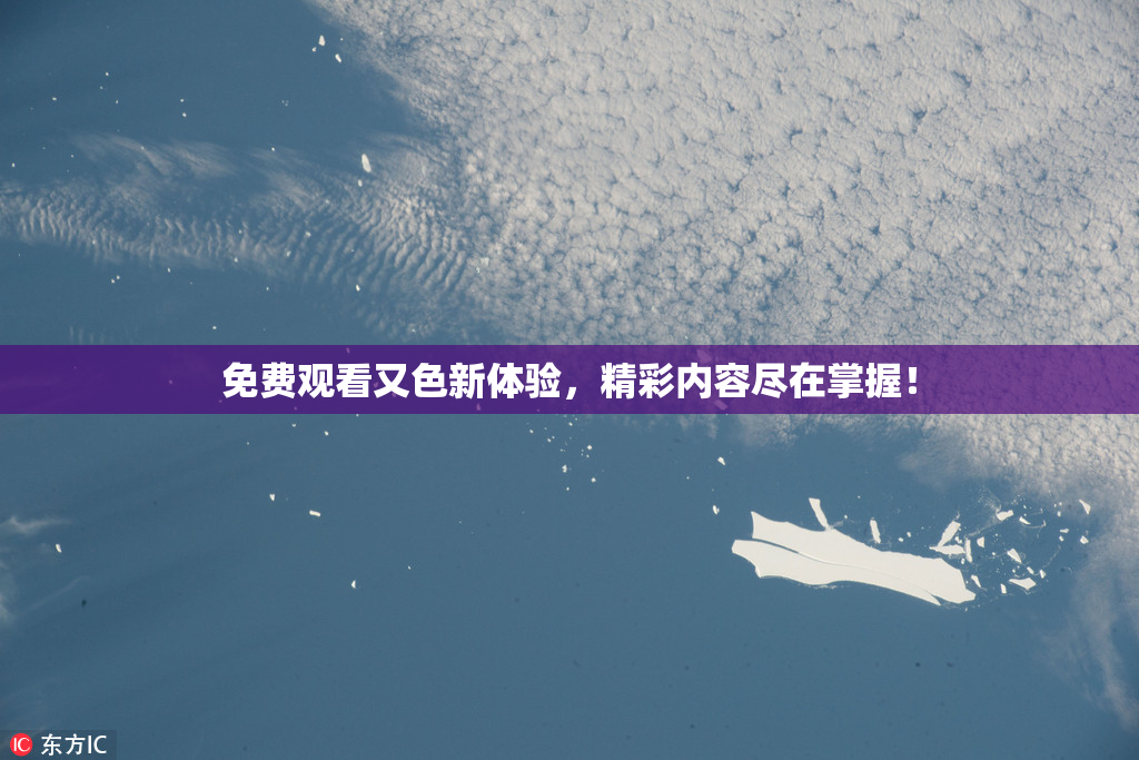 免费观看又色新体验，精彩内容尽在掌握！