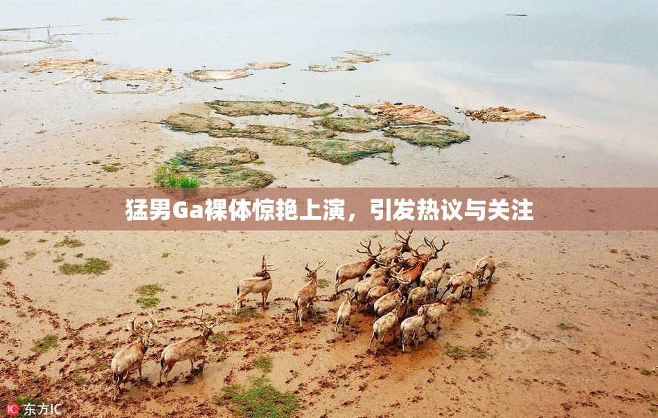 猛男Ga裸体惊艳上演，引发热议与关注